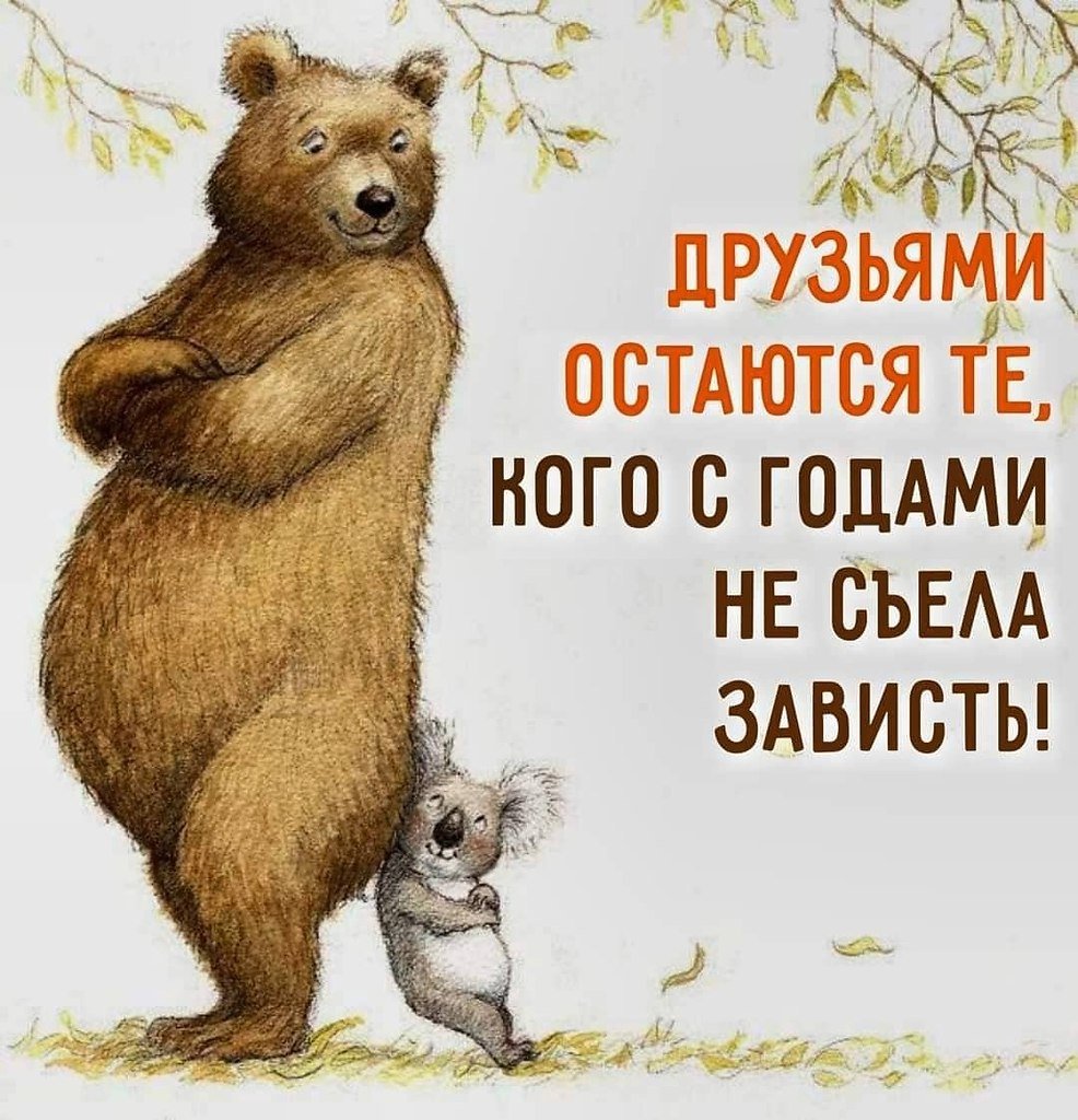 Художник-иллюстратор Petra Brown