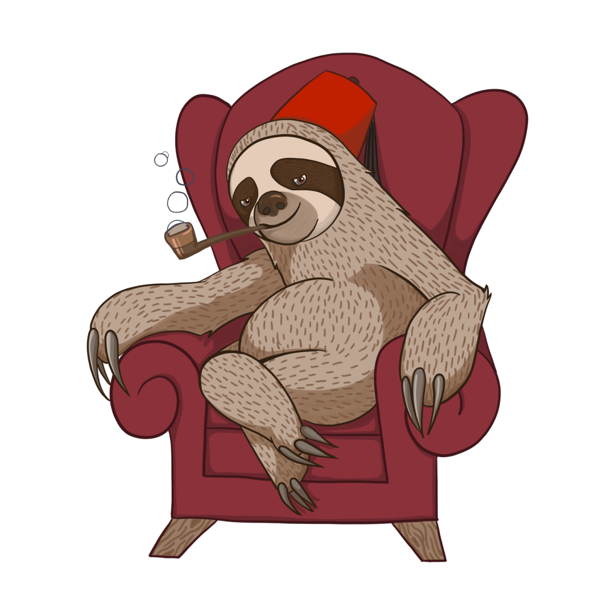 Трехпалый Ленивец Коста Рика