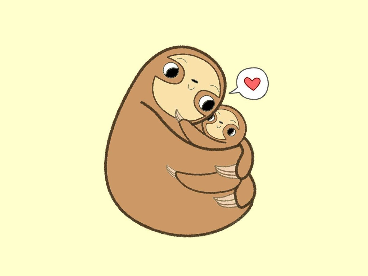 Ленивец картинки смешные