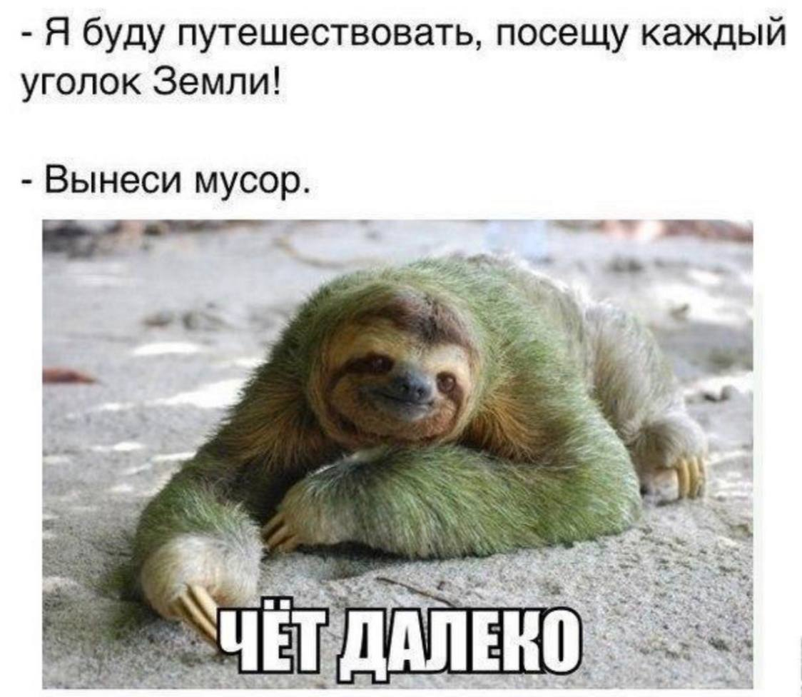 Ленивец прикол