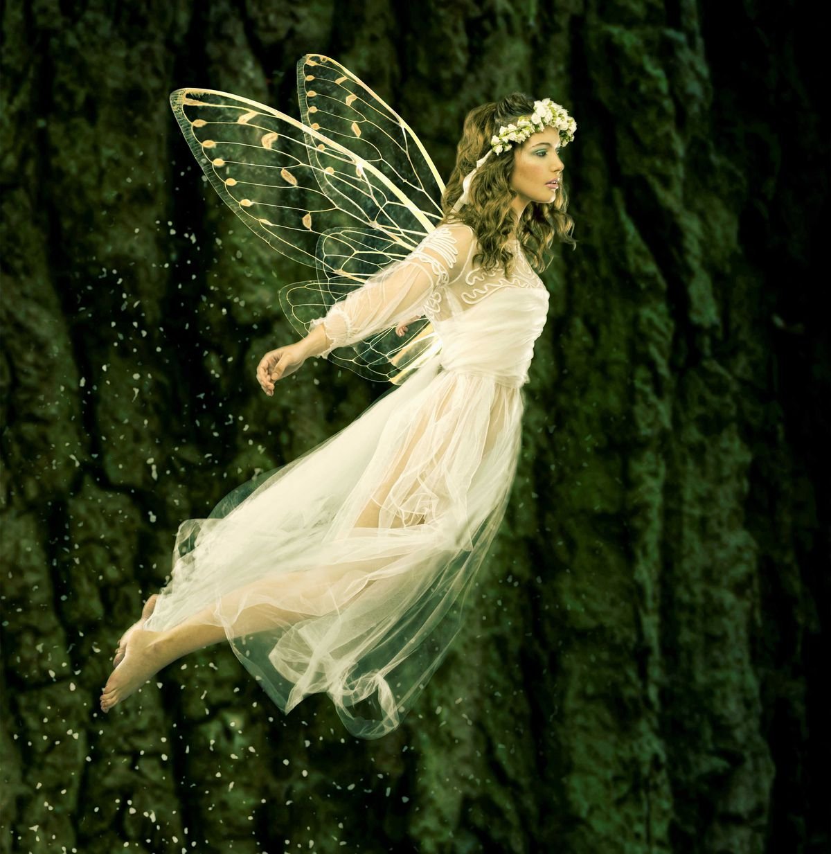 Бабочка богиня