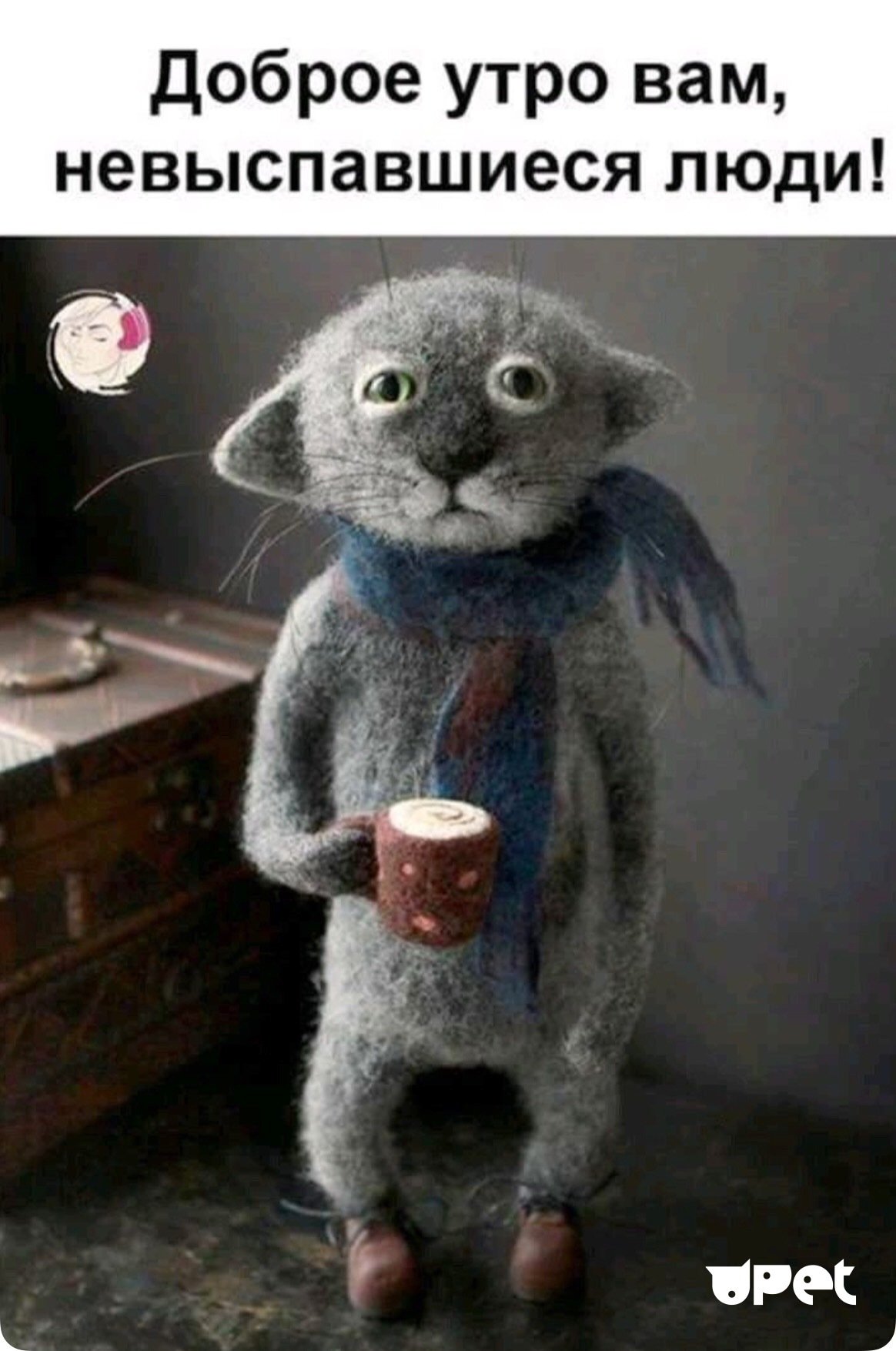 Утро добрым бывает