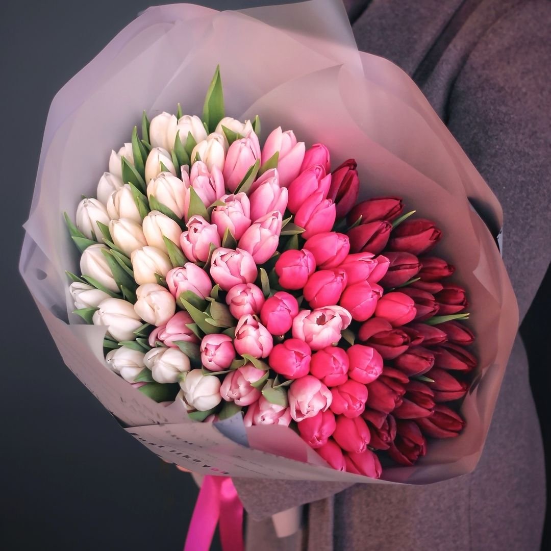 Длинные тюльпаны