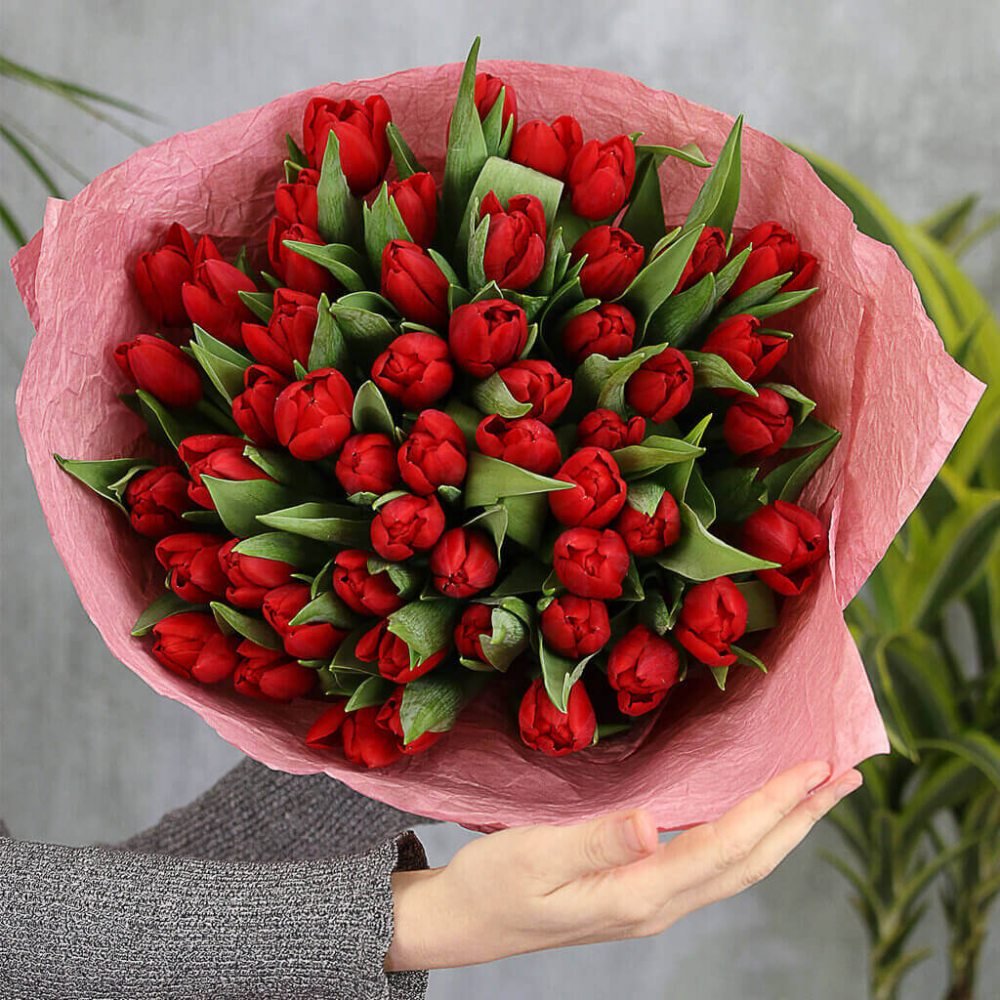 Тюльпаны красные Afrodite