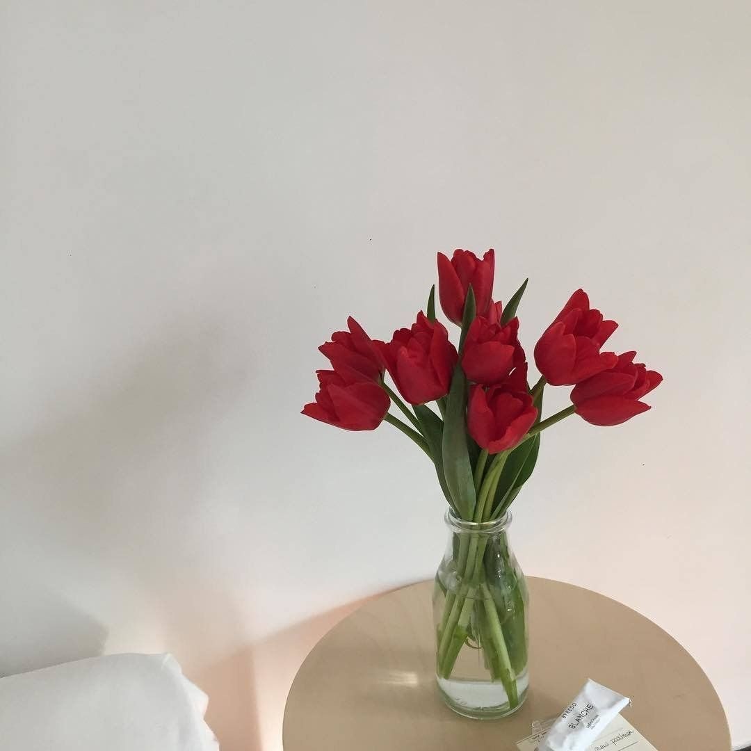 Тюльпаны Эстетика