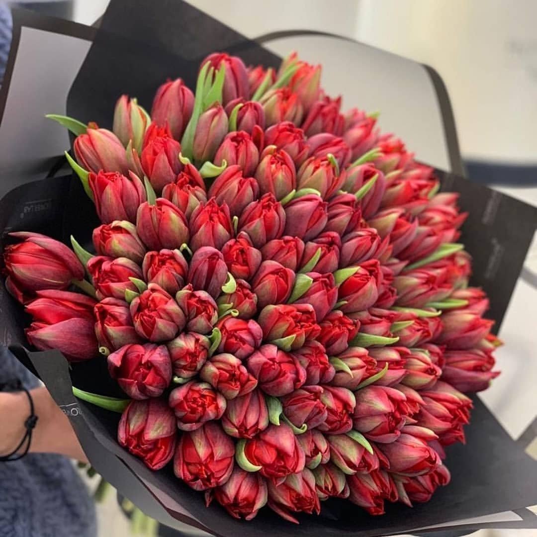 Огромный букет тюльпанов