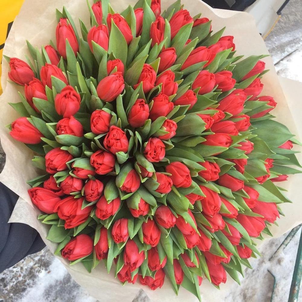 Огромный букет красных тюльпанов
