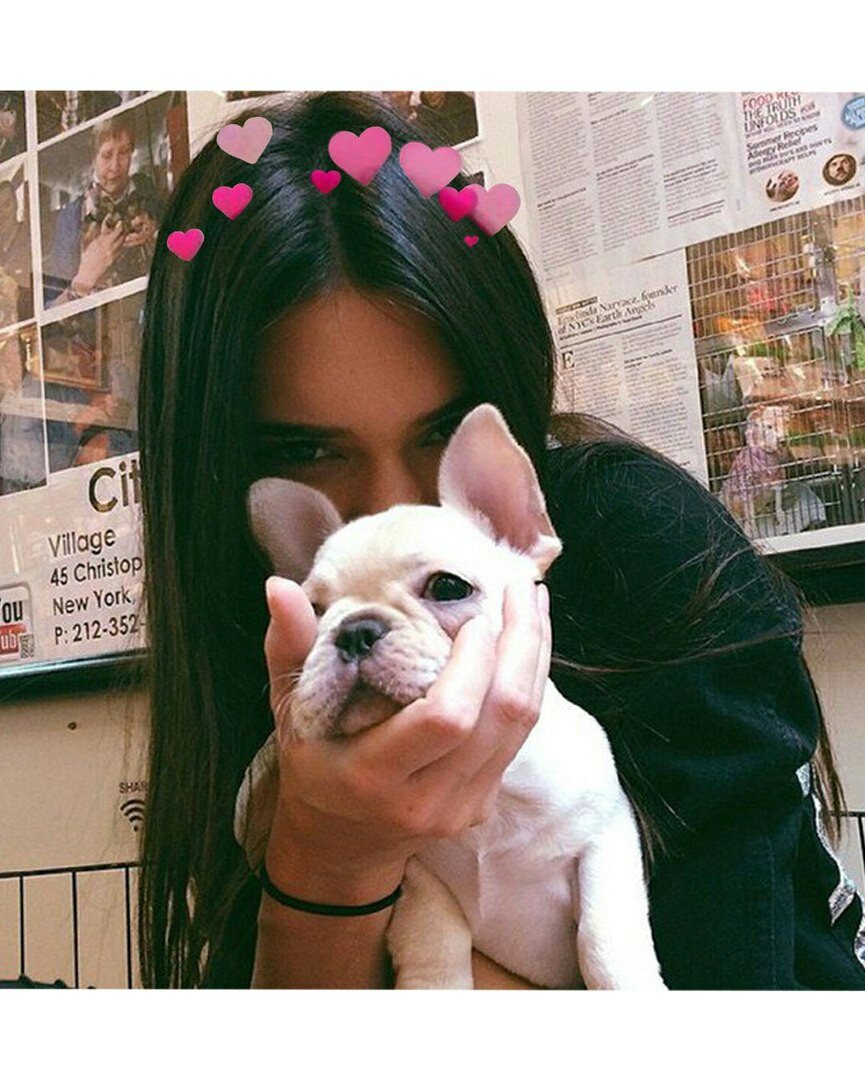 Брюнетка с собачкой