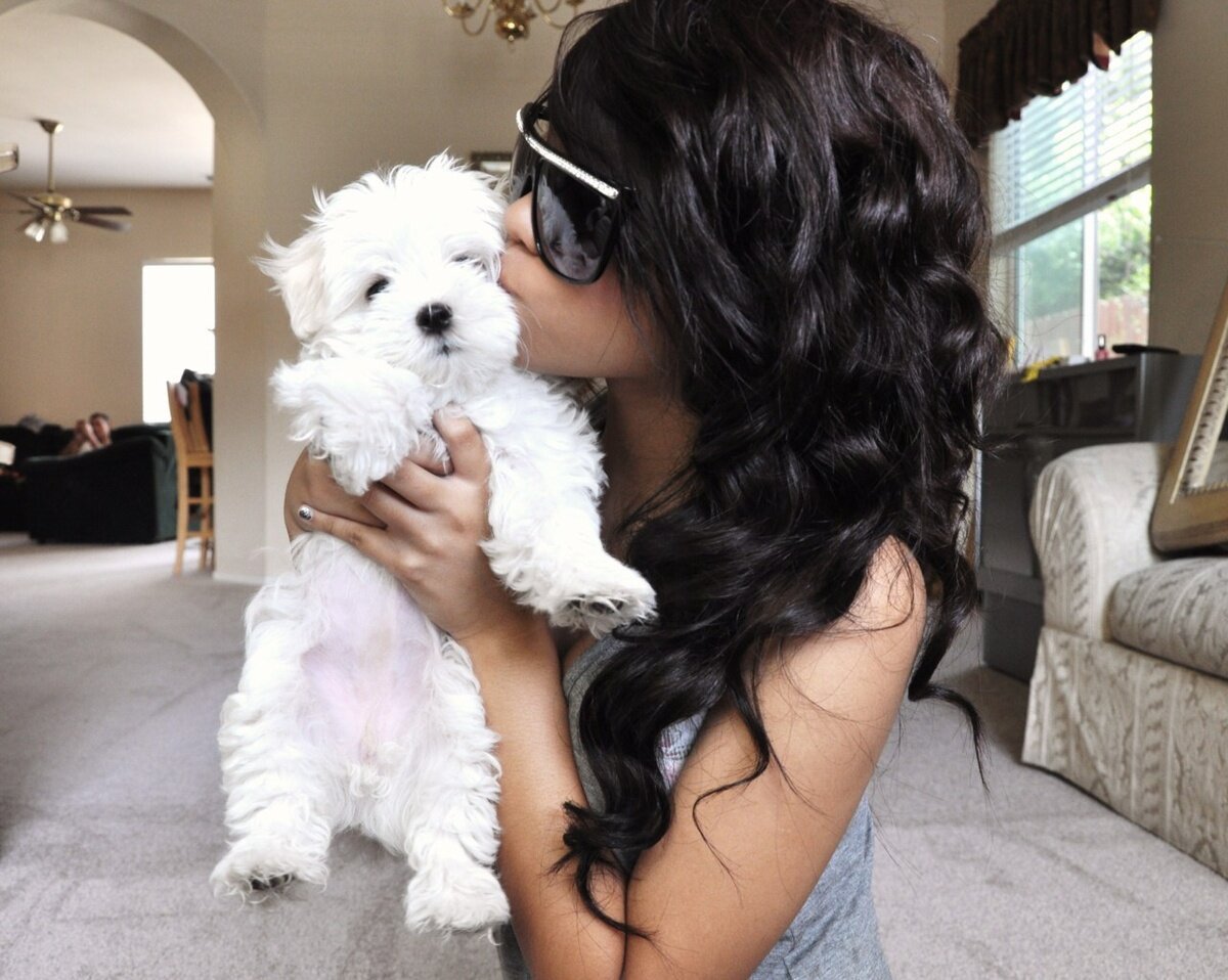 Красивые брюнетки с собачками