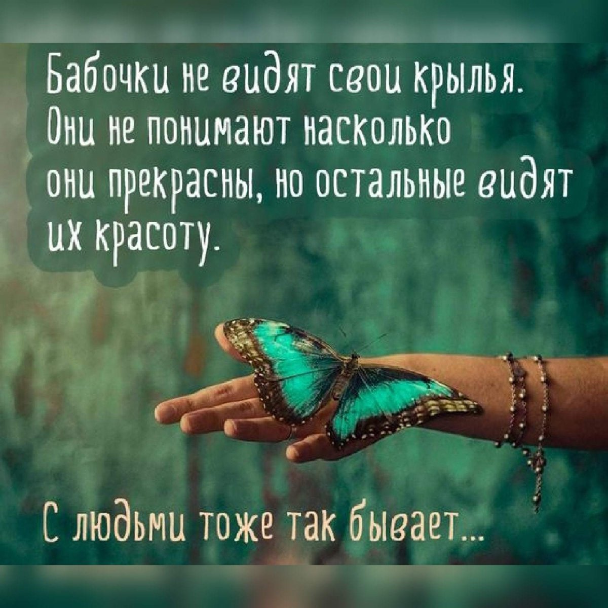 Цитаты о красоте жизни