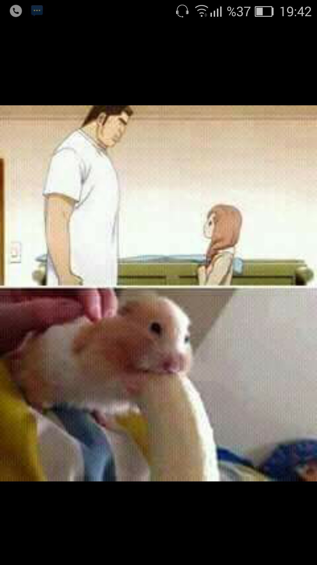 Хомяк и банан