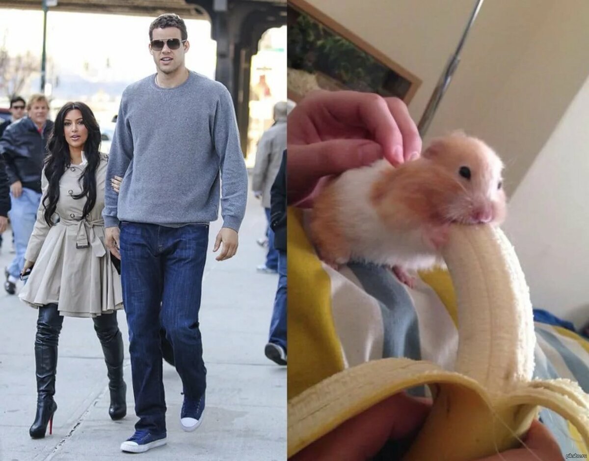 Хомяк и банан прикол