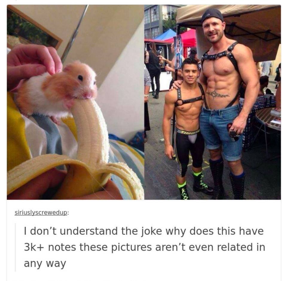 Хомячок с бананом прикол