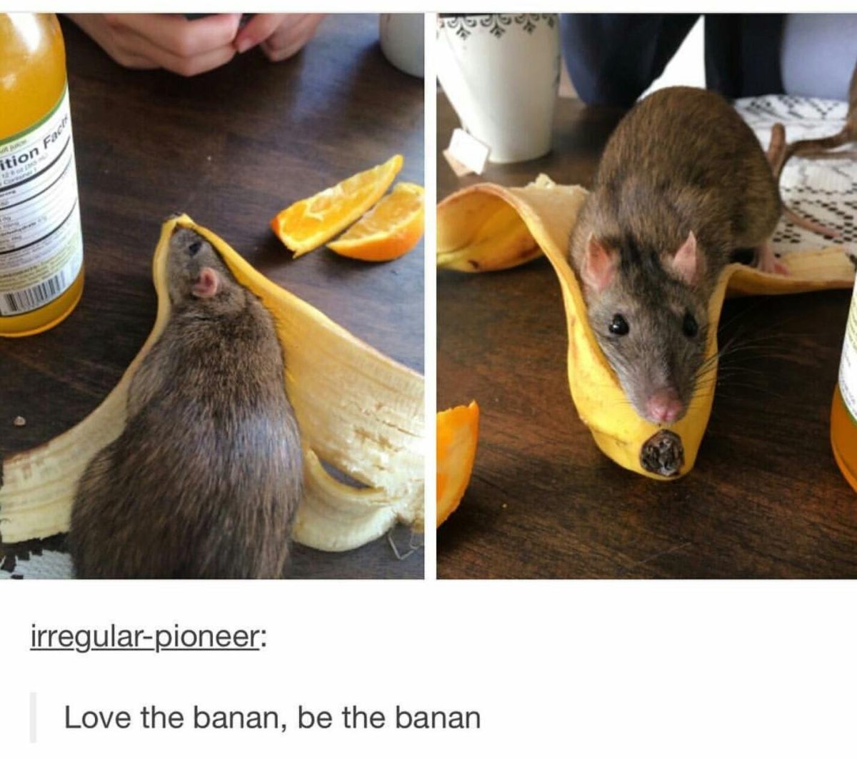 Шутки про банан