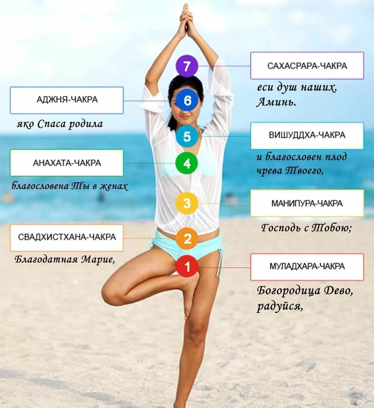 7 Чакр человека их расположение