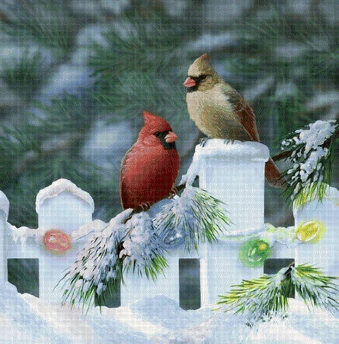 Рождественские птицы