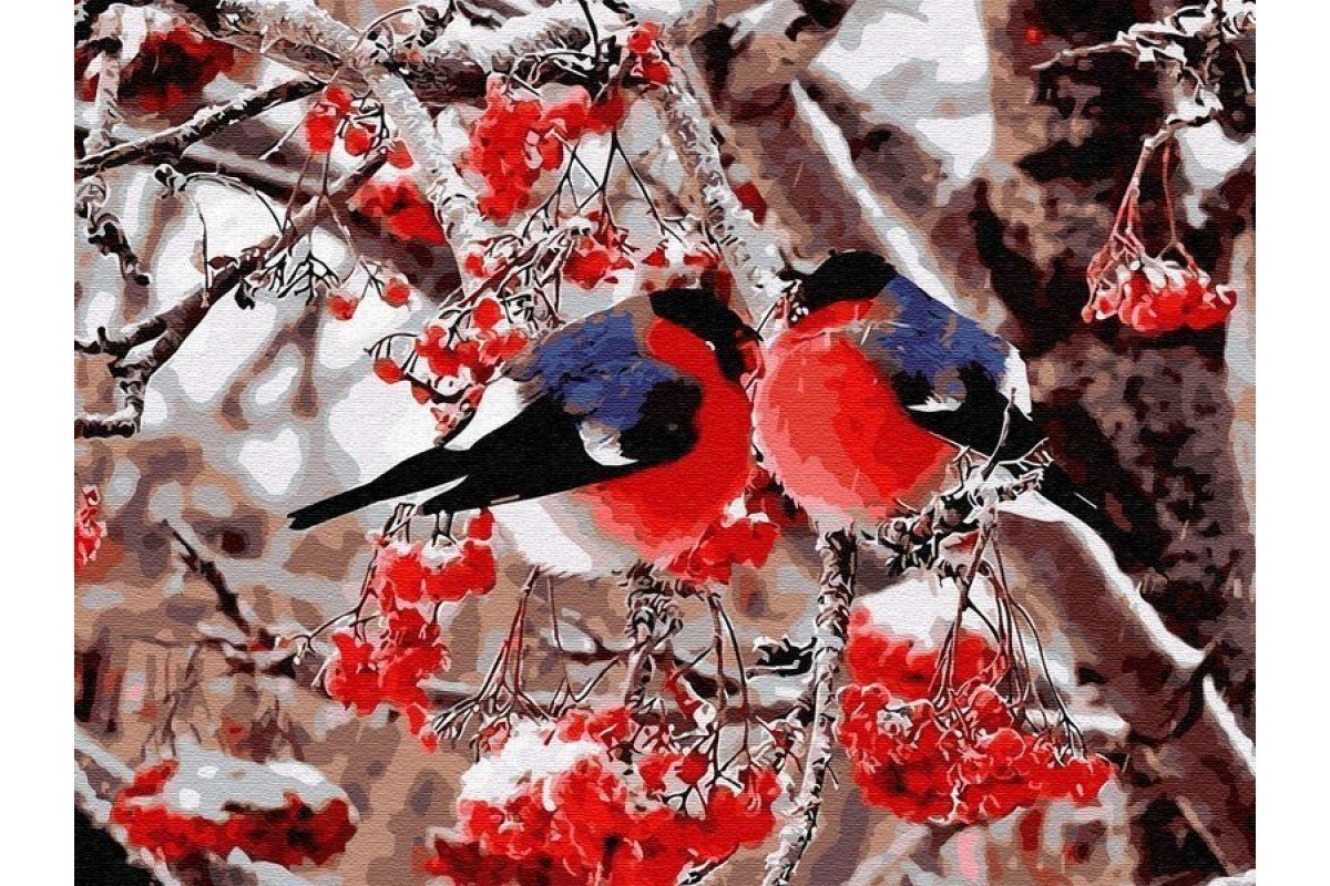 Снегири зимой