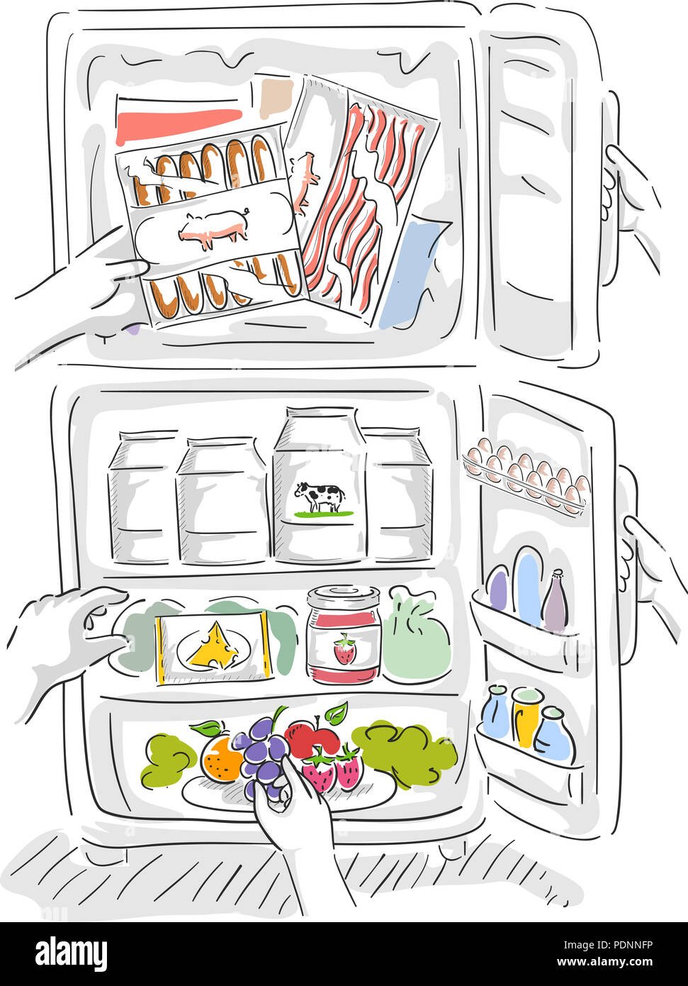 Food in Fridge Coloring