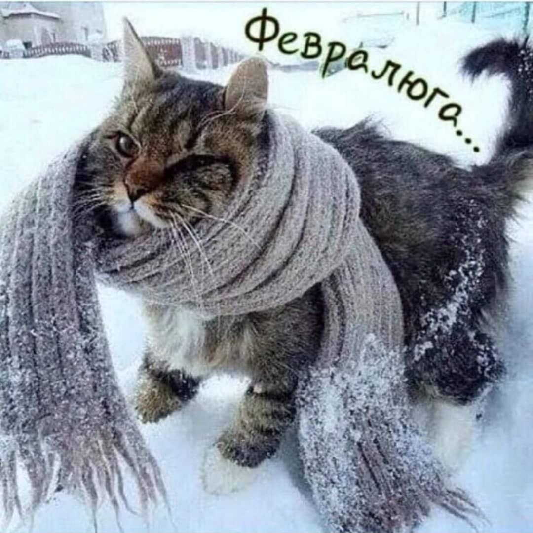 Доброе морозное утро одевайся теплее