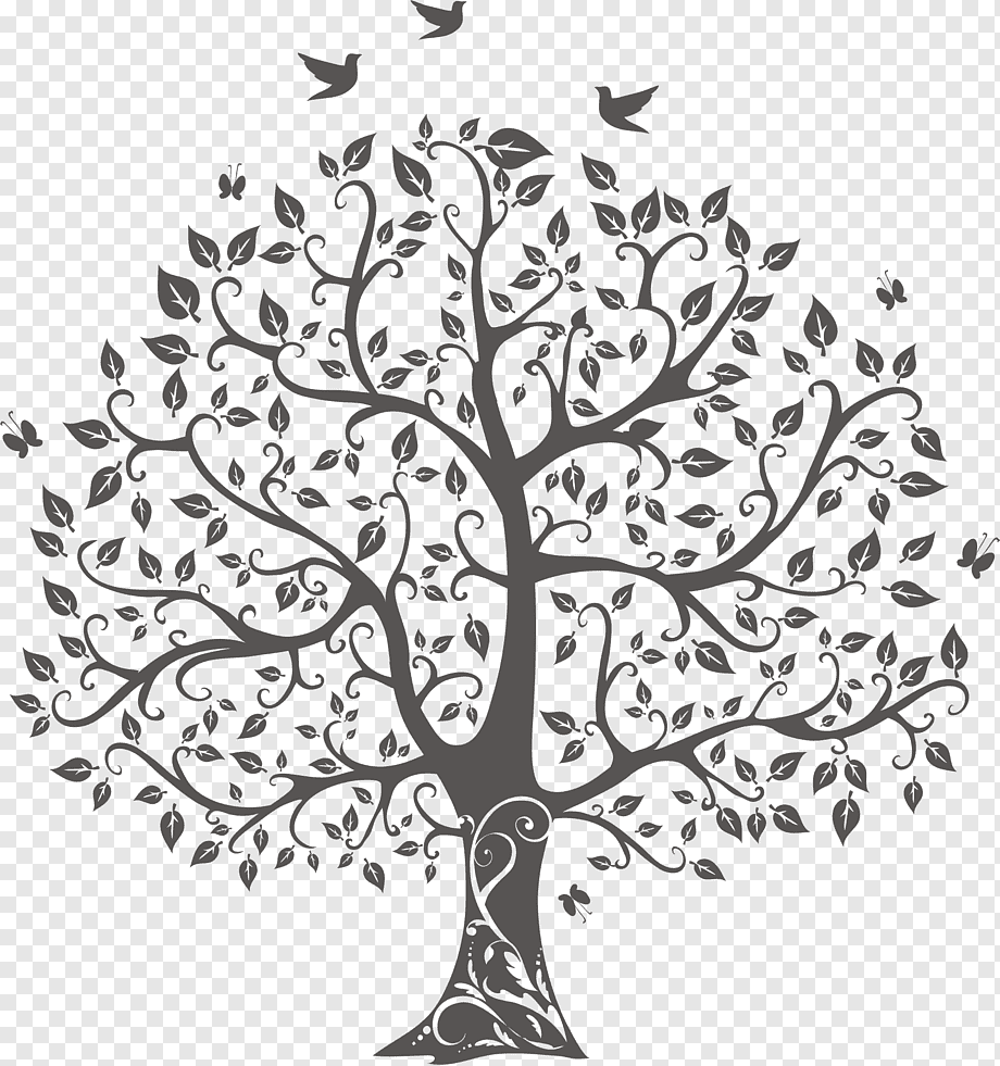 Дуб раскраска