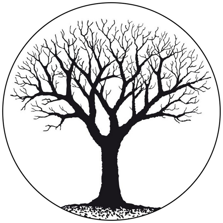 Красивый силуэт дерева