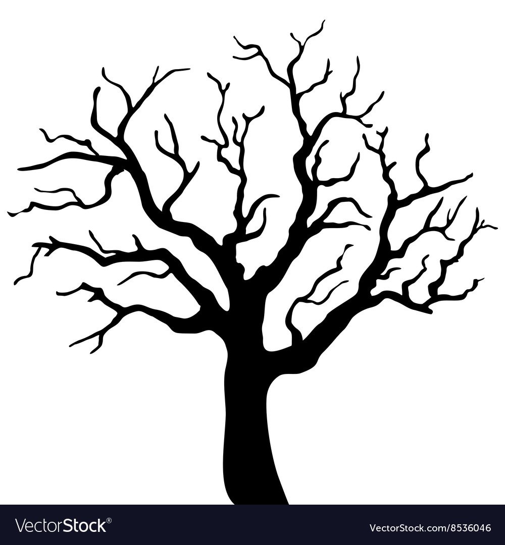 Декоративные деревья черно белые