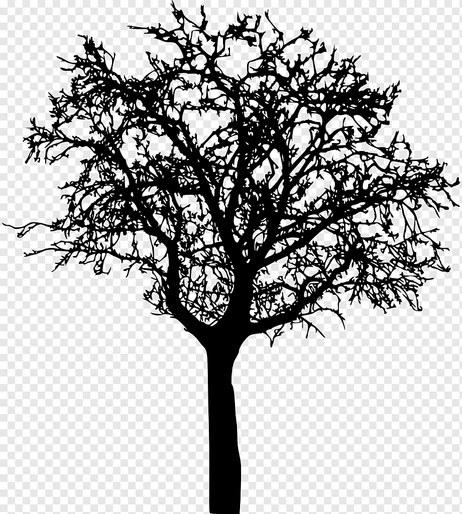 Дерево Графика