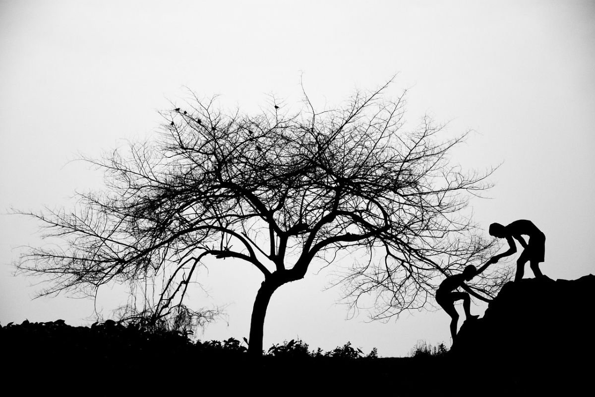 Красивое дерево контур