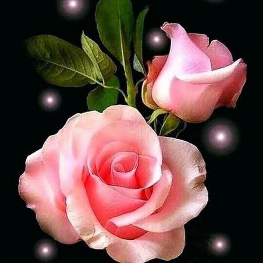 Цветы для прекрасной дамы