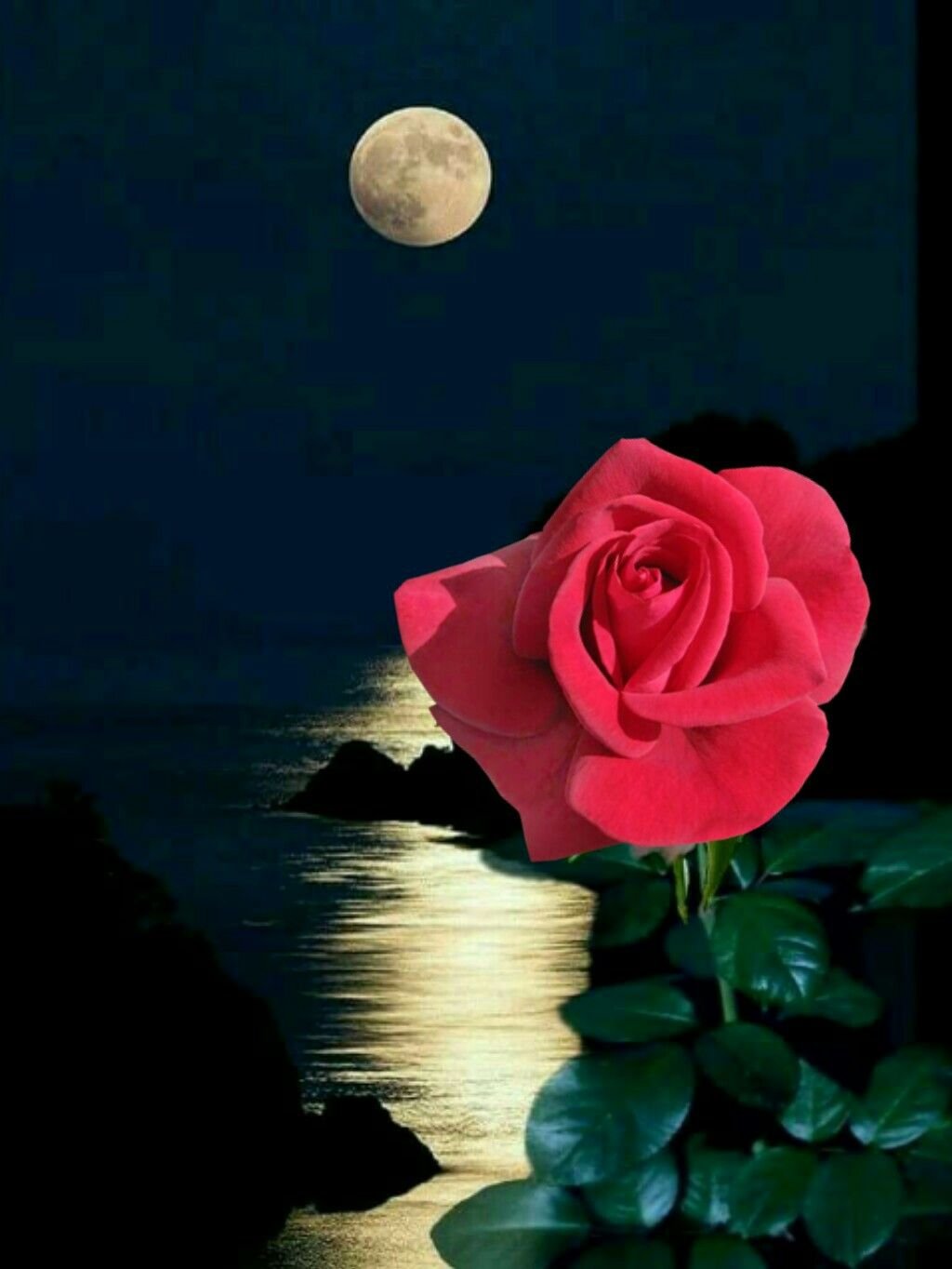 Спокойной ночи цветы