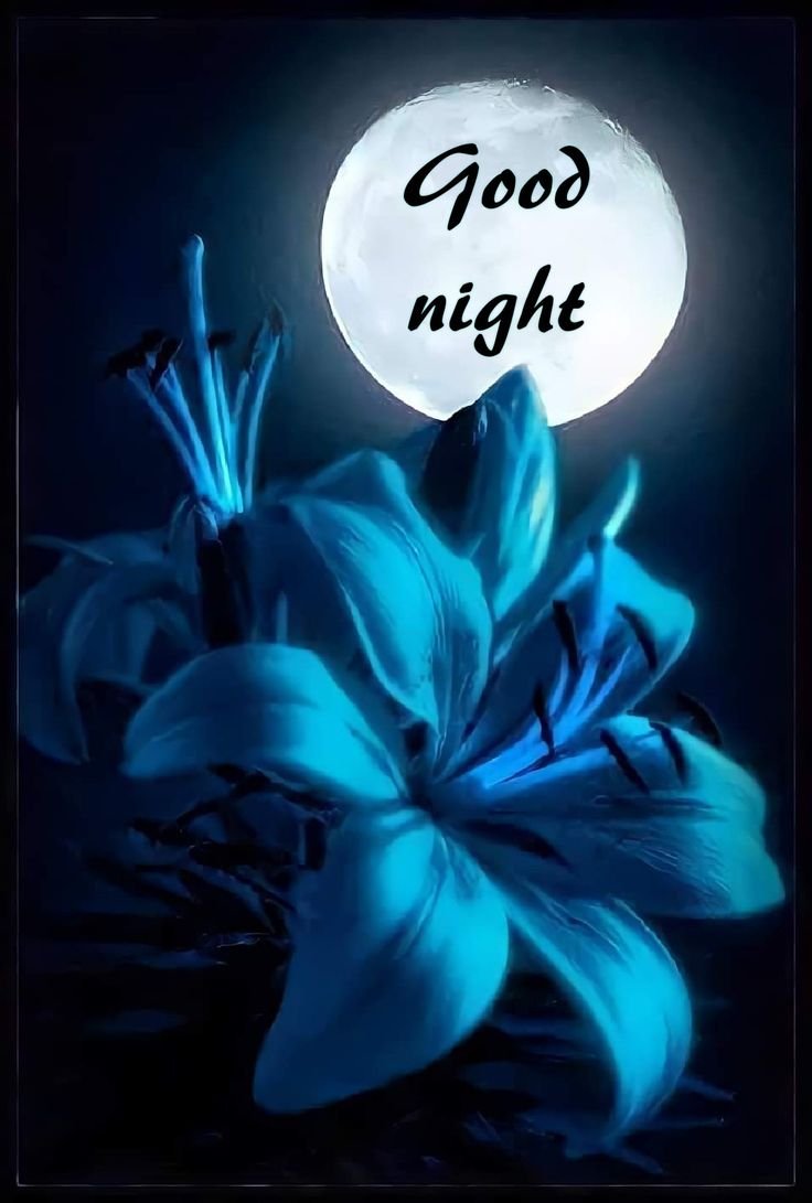 Спокойной ночи