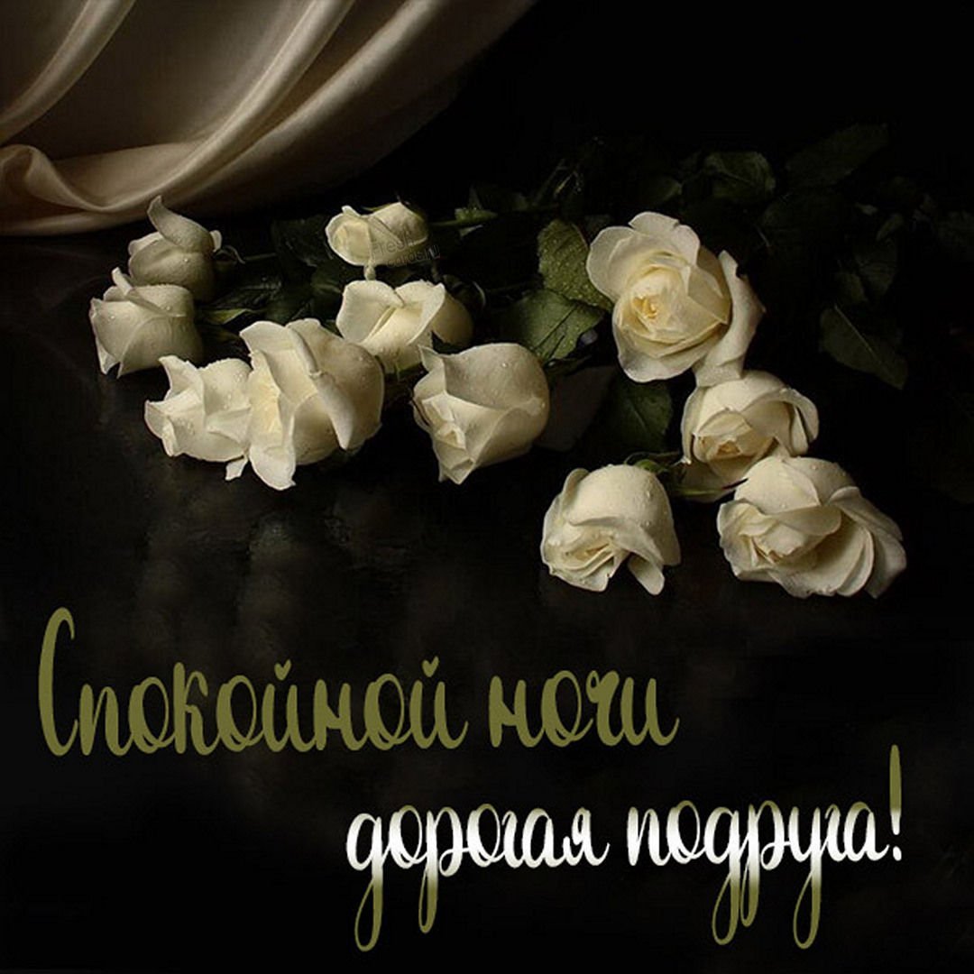 Спокойной ночи цветы