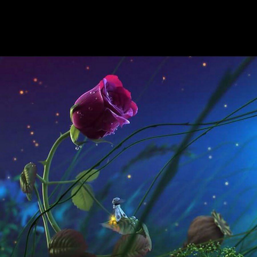 Спокойной ночи цветочек