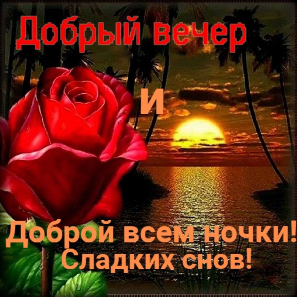 Спокойной ночи цветы