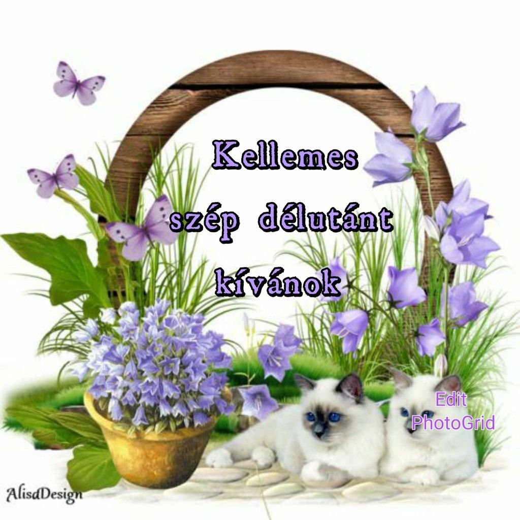 Чудесного вторника