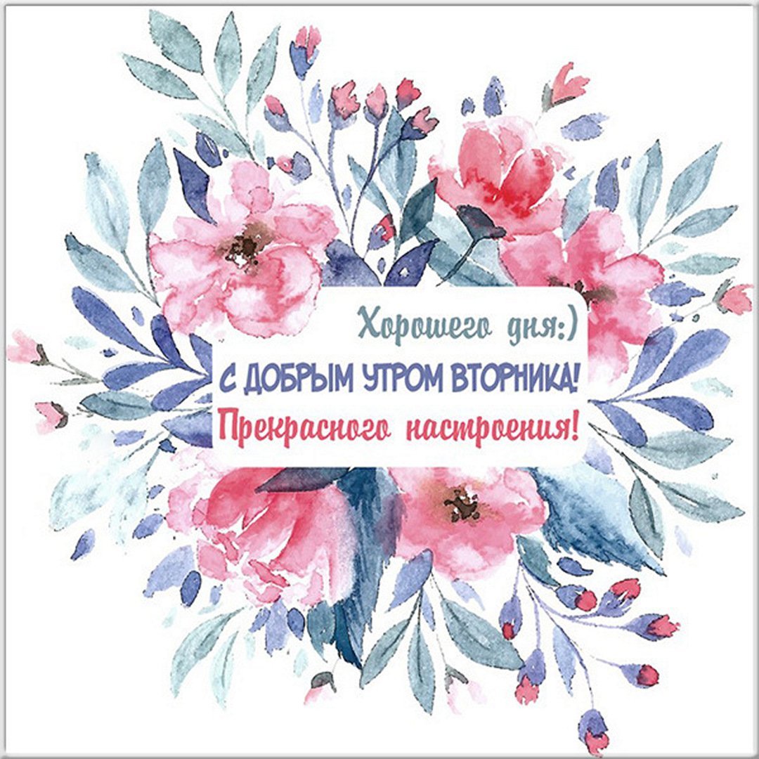 Сдобрым утром вторниеа