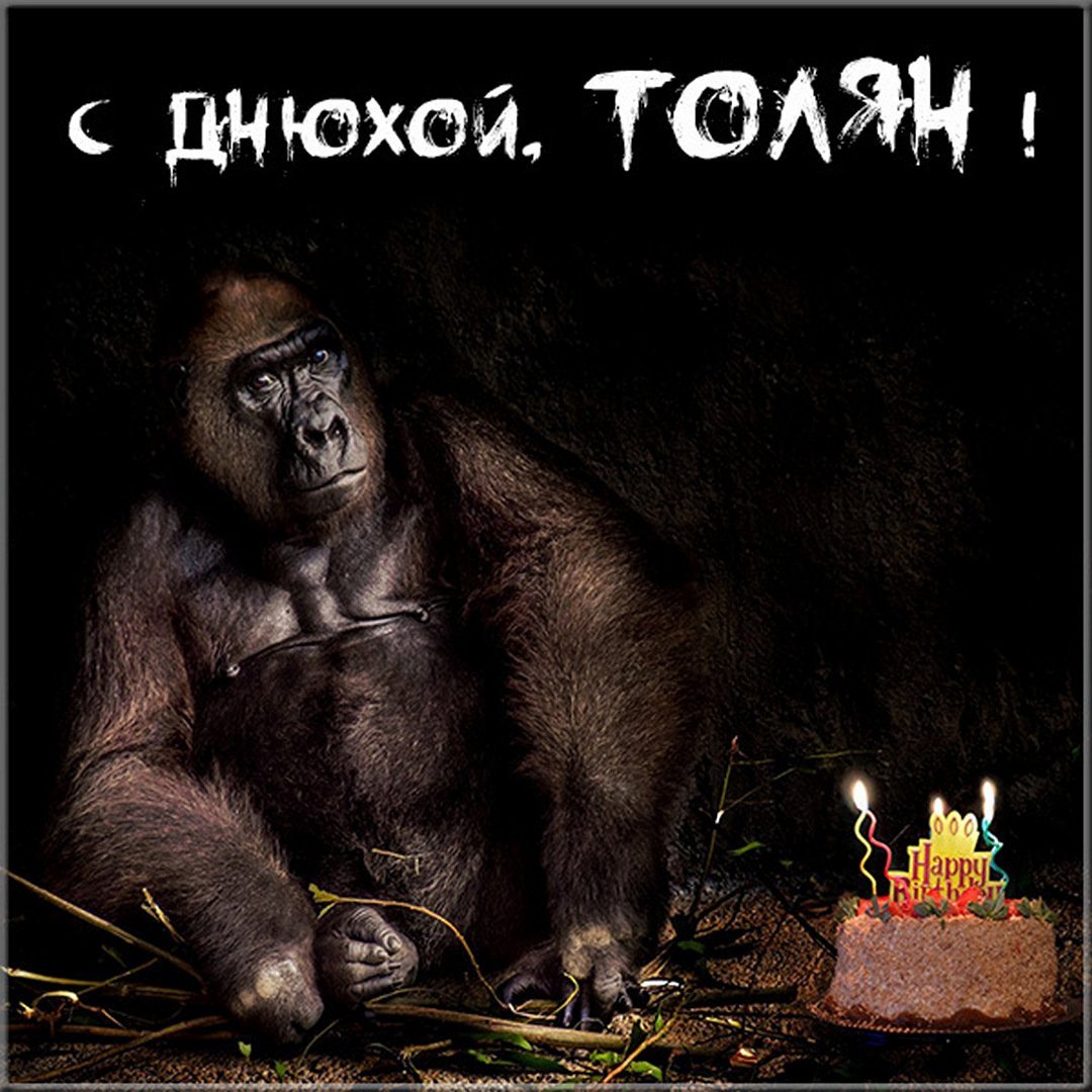 С днём рождения Анжелика