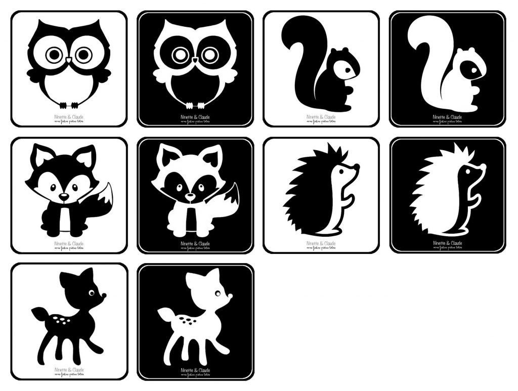 Черно белые рисунки для грудничков