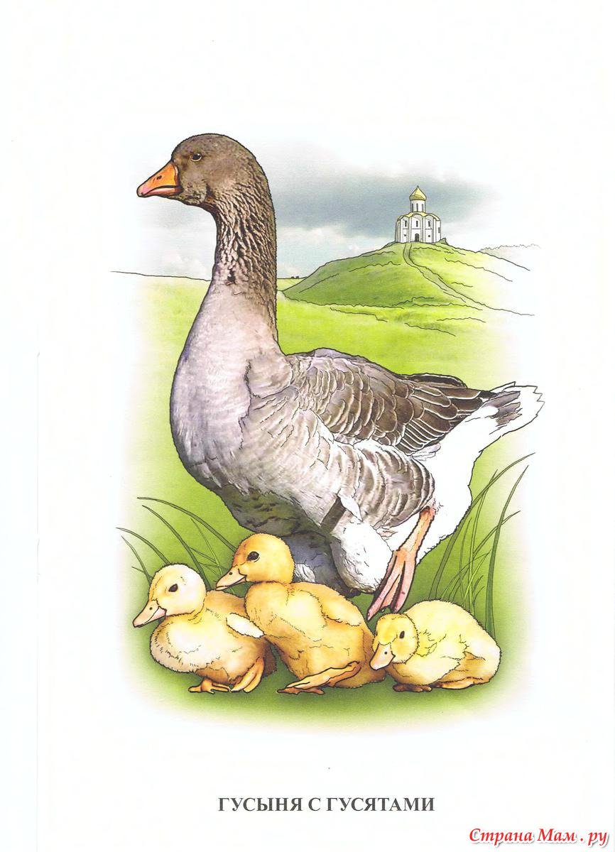 Винтажные гуси