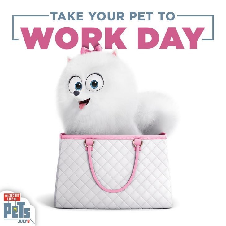 Гиджет из Тайная жизнь