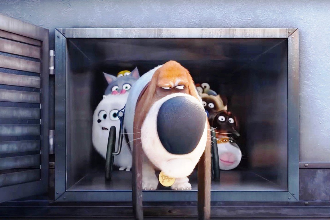 Тайная жизнь домашних животных банда