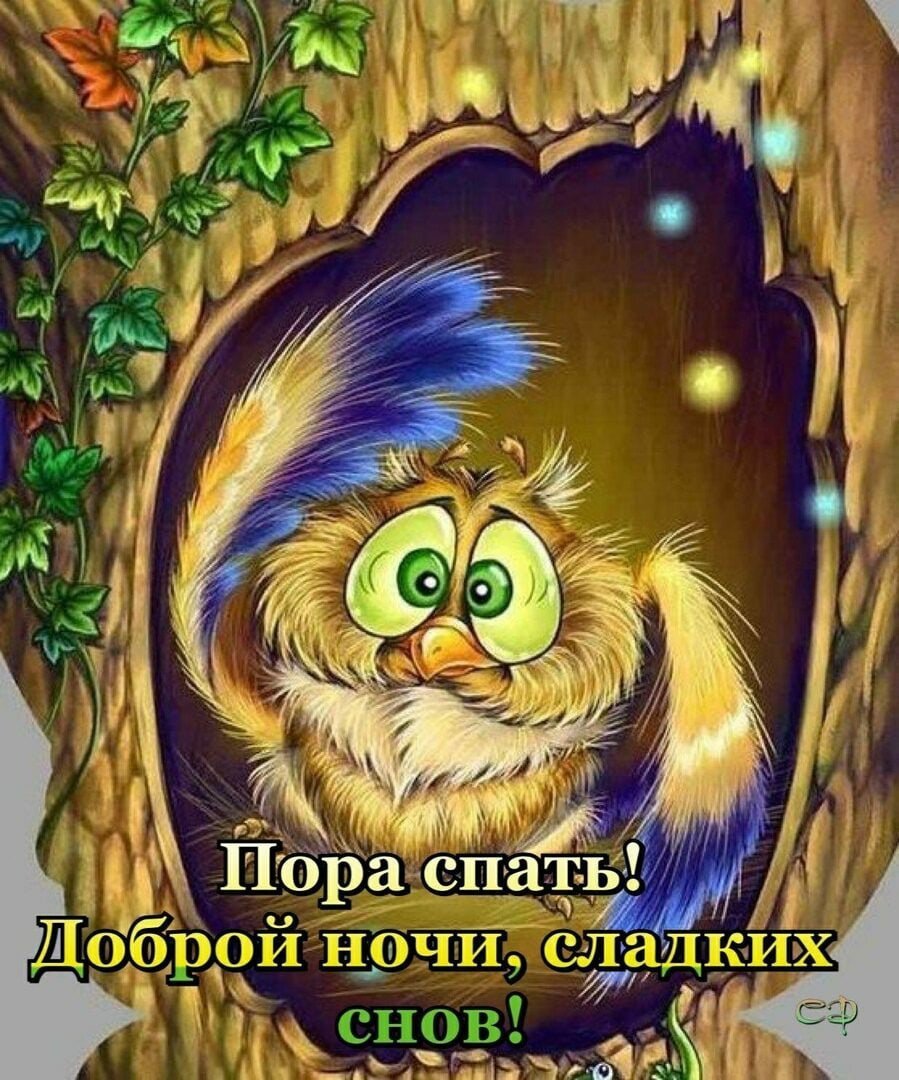 Добрых снов прикольные