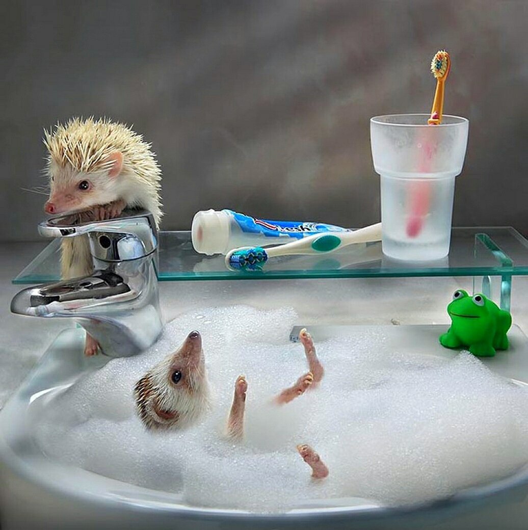 С пятницей хороших выходных