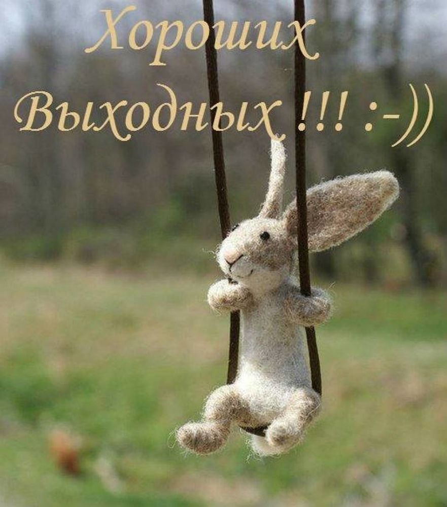 Необычные пожелания хорошего дня