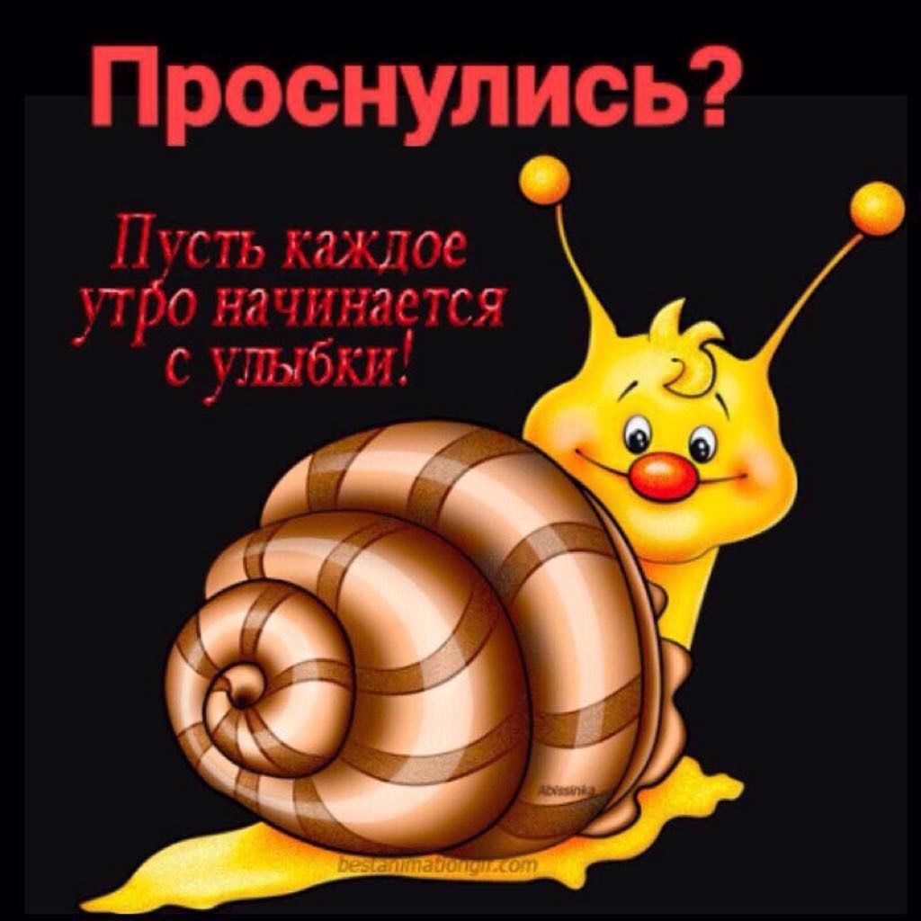 Улитка с добрым утром