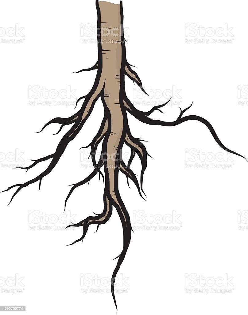 Мультяшные корни