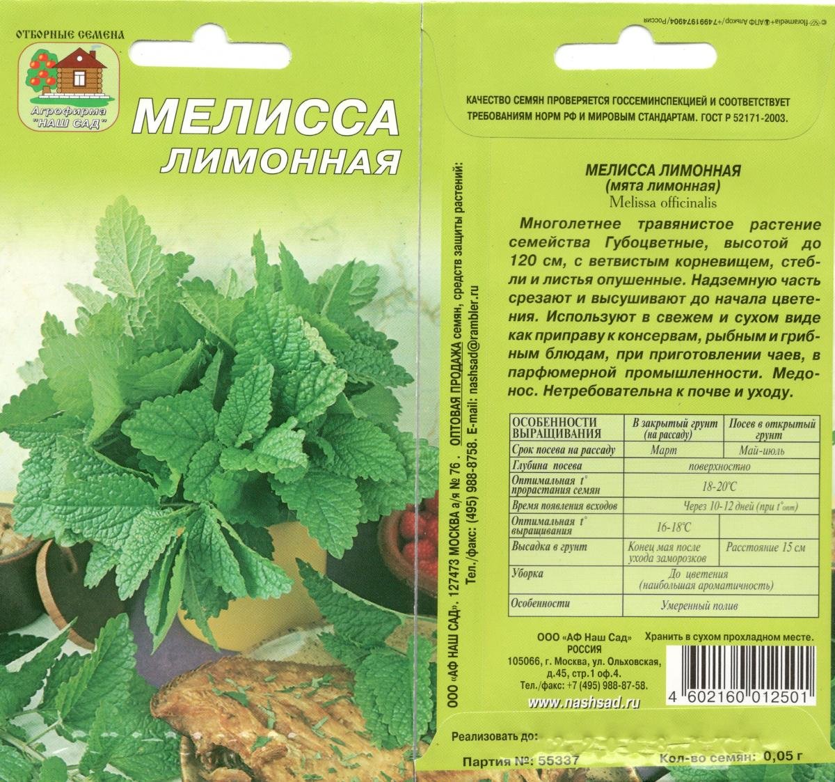 Листик мяты