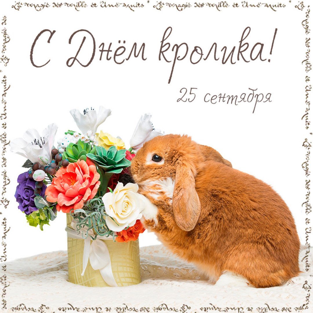 Букет цветов в корзине