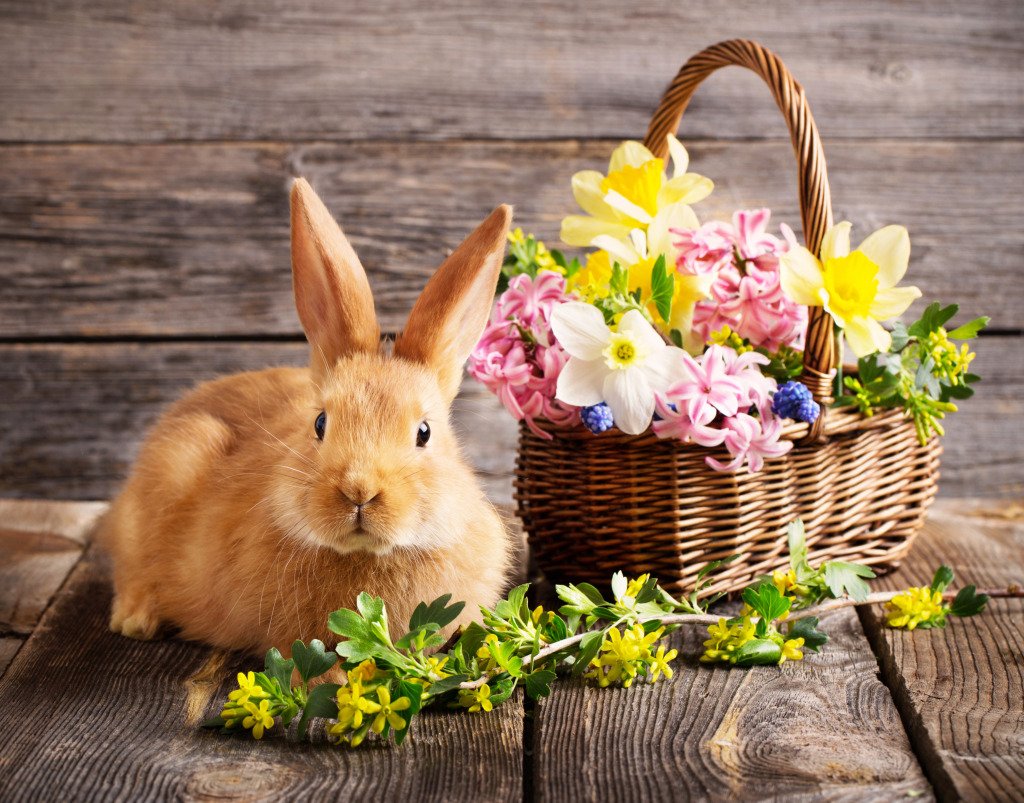 Кролик поздравляет с днем рождения