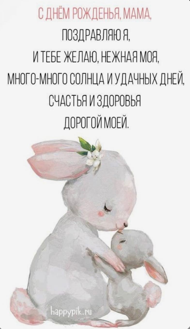 День рождения зайчика